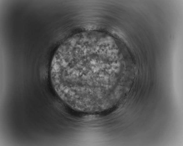 X0000089690499200707201723