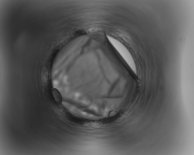 X0000089690503200707201723