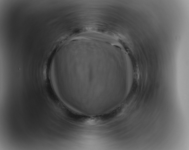 X0000089690504200707201723