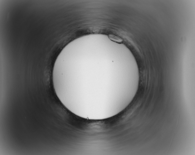 X0000089690505200707201723