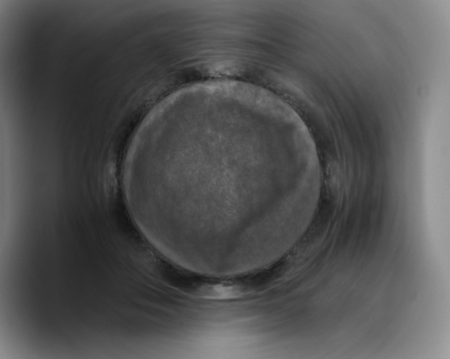 X0000089690506200707201723