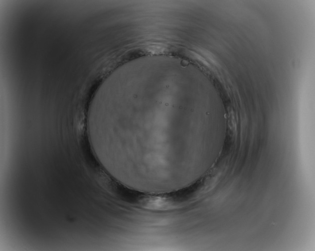 X0000089690507200707201723