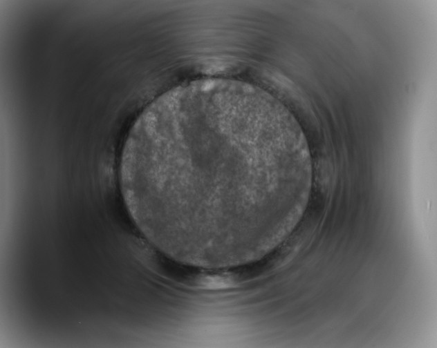 X0000089690510200707201723