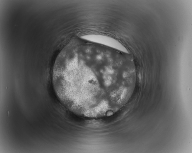 X0000089690511200707201723