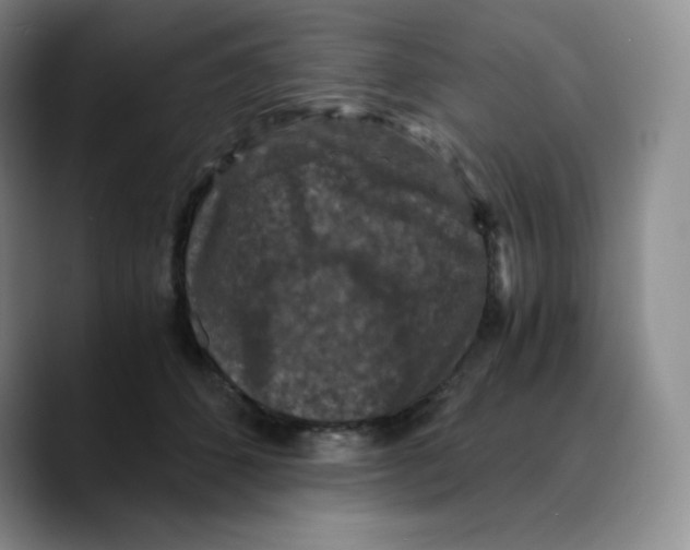 X0000089690512200707201723