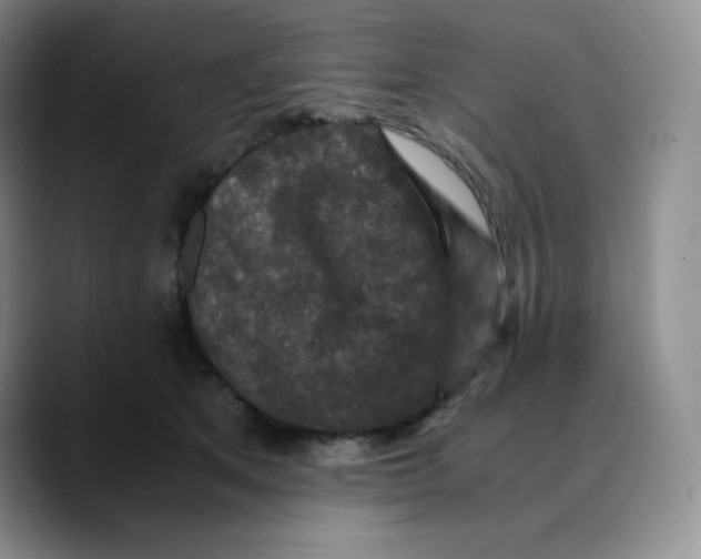 X0000089690513200707201723
