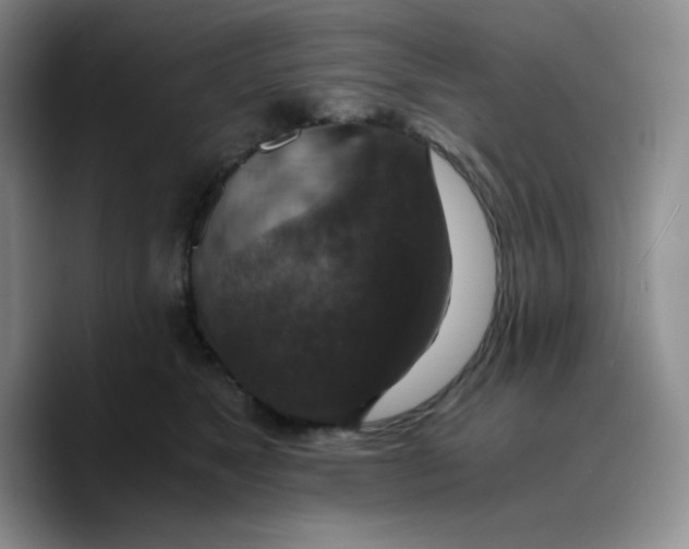 X0000089690517200707201723