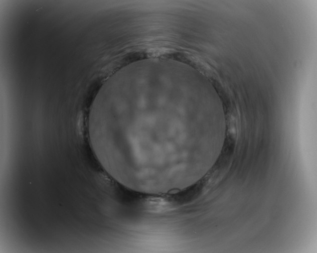 X0000089690519200707201723