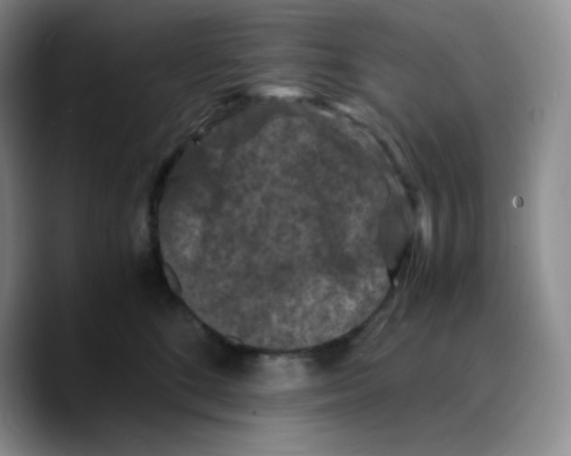 X0000089690520200707201723
