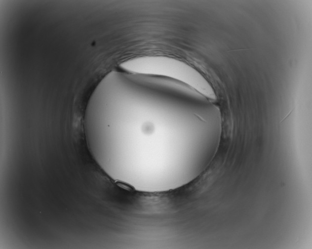 X0000089690521200707201723