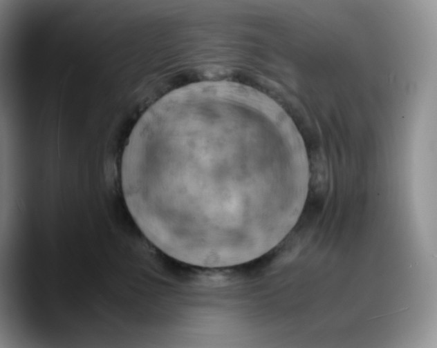 X0000089690523200707201723