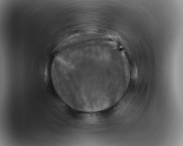X0000089690524200707201723