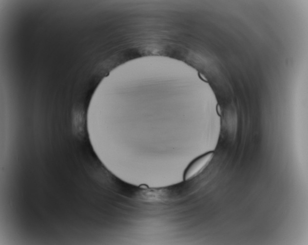 X0000089690526200707201722