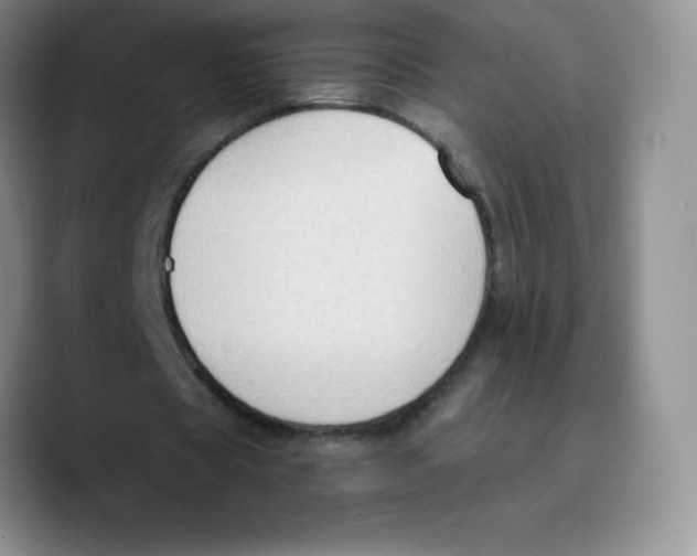 X0000089690529200707201722