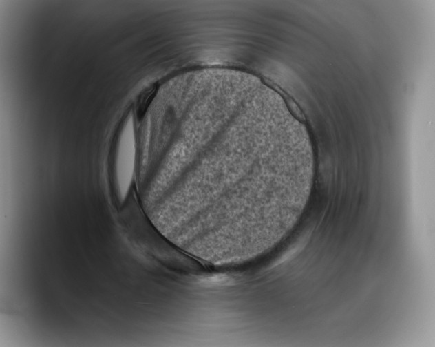 X0000089690530200707201722