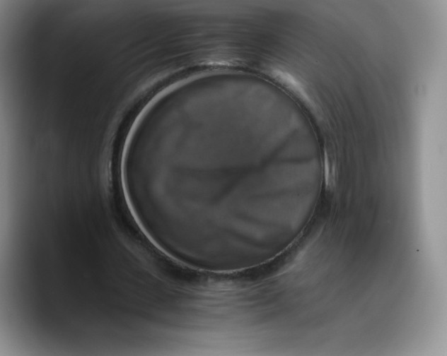 X0000089690531200707201722