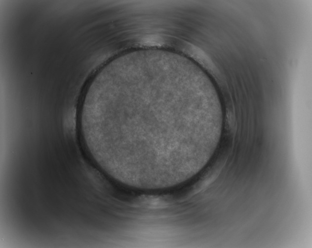 X0000089690534200707201722