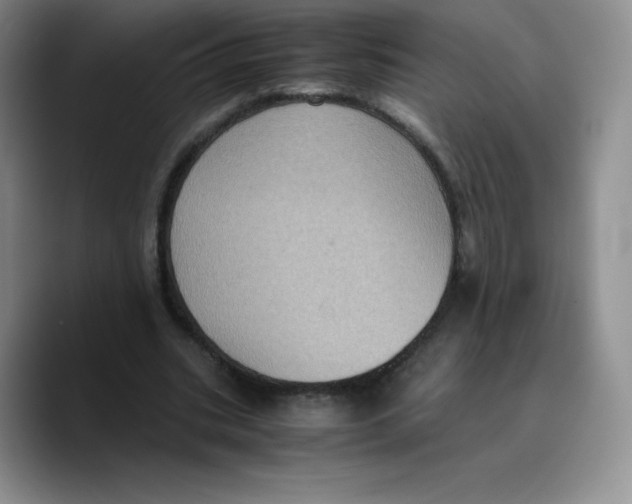 X0000089690535200707201722