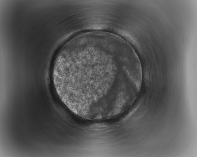 X0000089690536200707201722