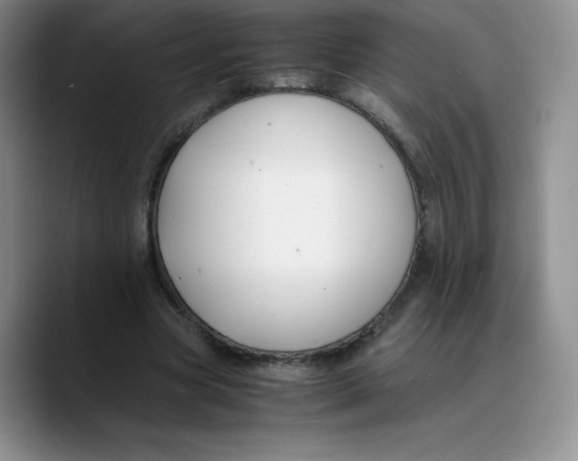 X0000089690537200707201722