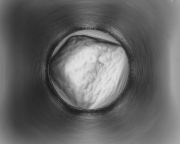 X0000089690538200707201722