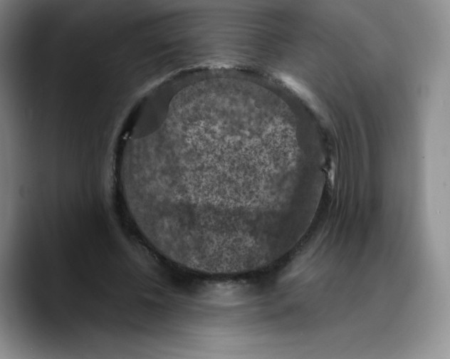 X0000089690540200707201722