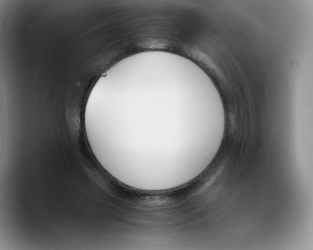 X0000089690541200707201722