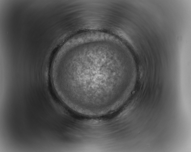 X0000089690542200707201722