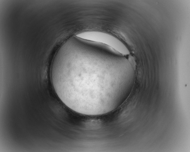 X0000089690543200707201722