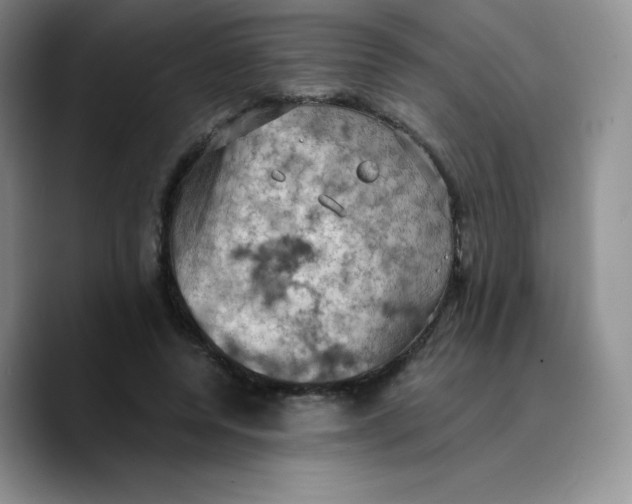 X0000089690544200707201722
