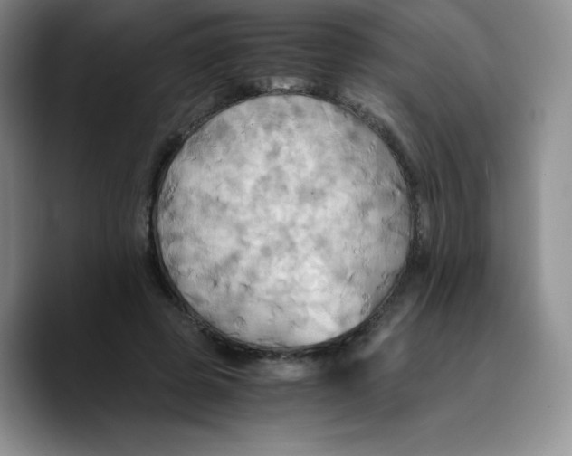 X0000089690545200707201722
