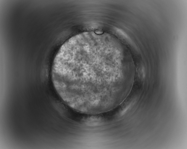 X0000089690546200707201722
