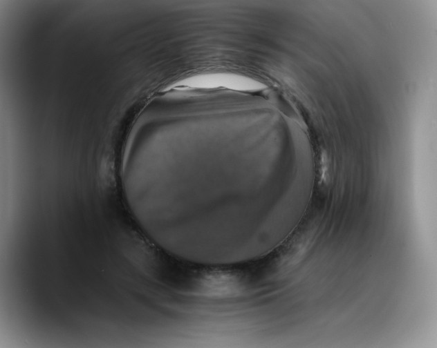 X0000089690547200707201722