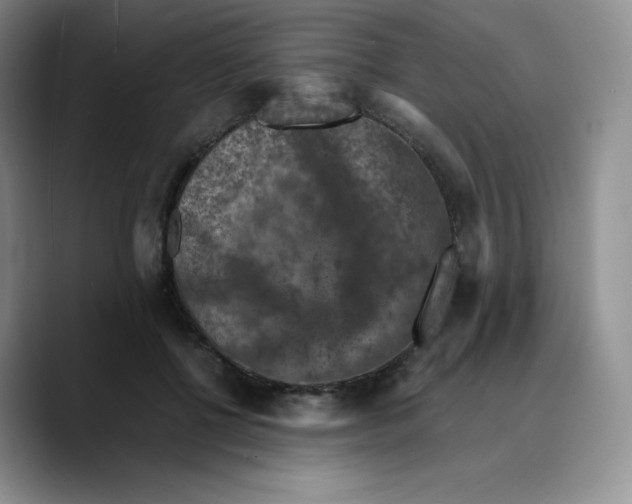 X0000089690552200707201722