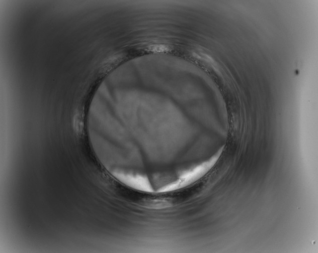 X0000089690553200707201722