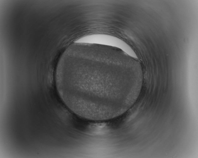 X0000089690554200707201722