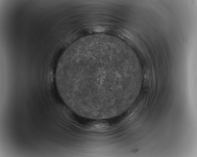 X0000089690555200707201722