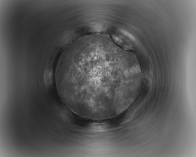 X0000089690556200707201722