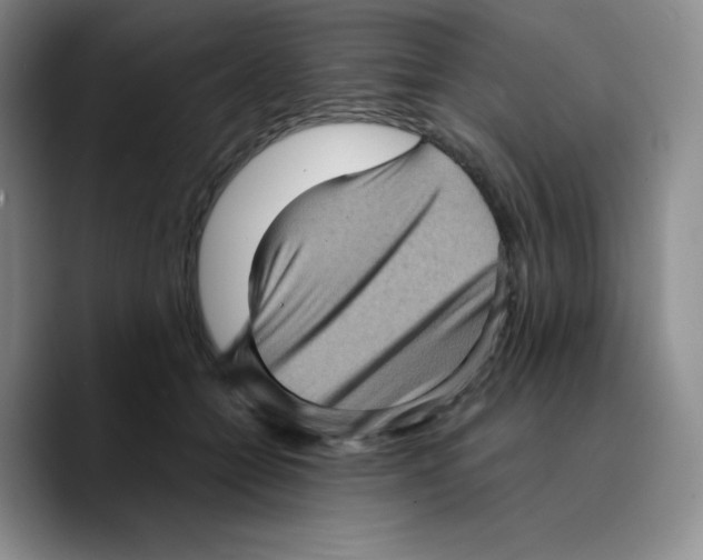 X0000089690558200707201722