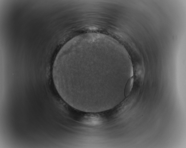 X0000089690559200707201722