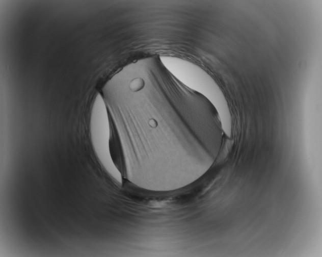 X0000089690560200707201722