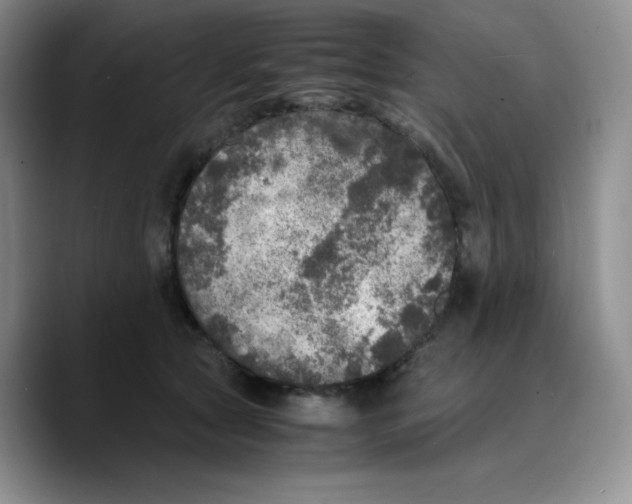 X0000089690561200707201722