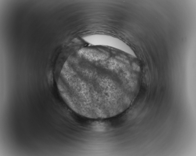 X0000089690562200707201722