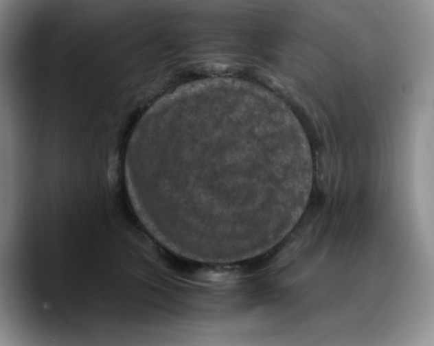 X0000089690563200707201722