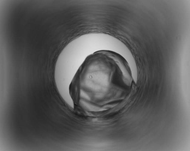 X0000089690564200707201722