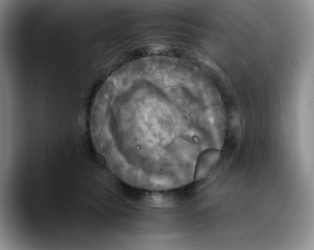 X0000089690565200707201722
