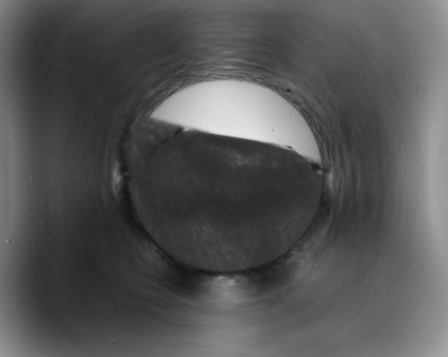 X0000089690566200707201722