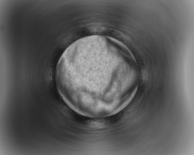 X0000089690567200707201722