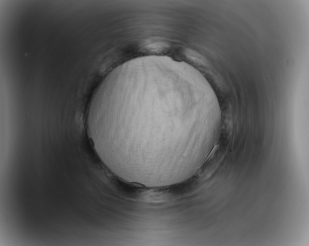 X0000089690568200707201722
