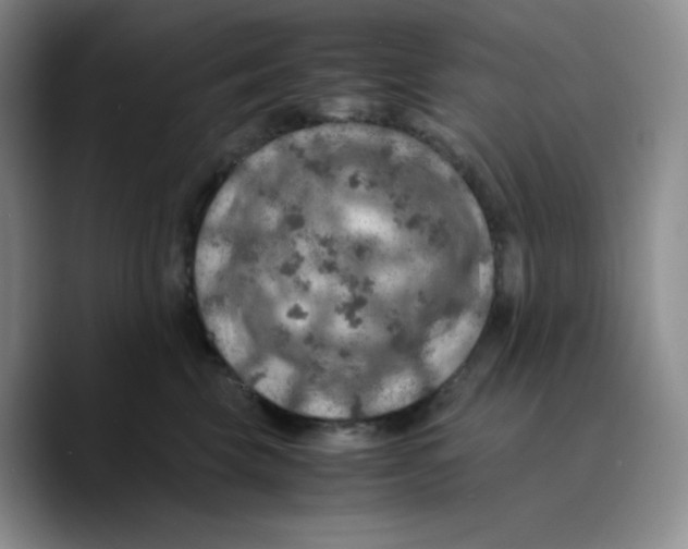 X0000089690569200707201722